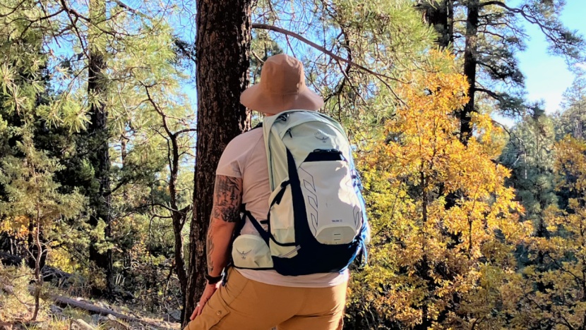 osprey talon 22 - the talon has plenty of space for a big day out. the tall side...