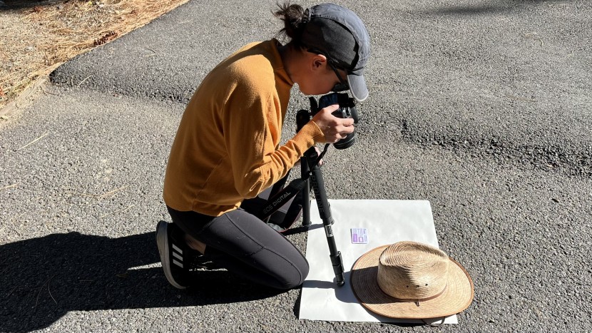 we use high-uv-index sun to test light penetration.