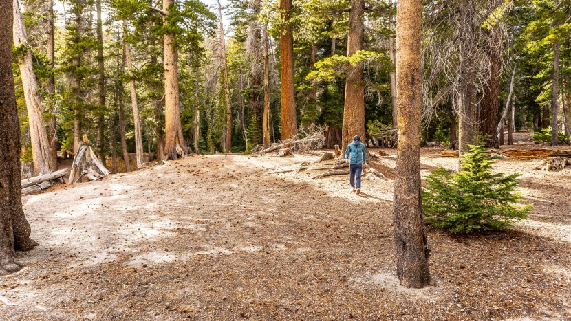 insulated jacket - the patagonia nano air ultralight is a layer that came off far less...