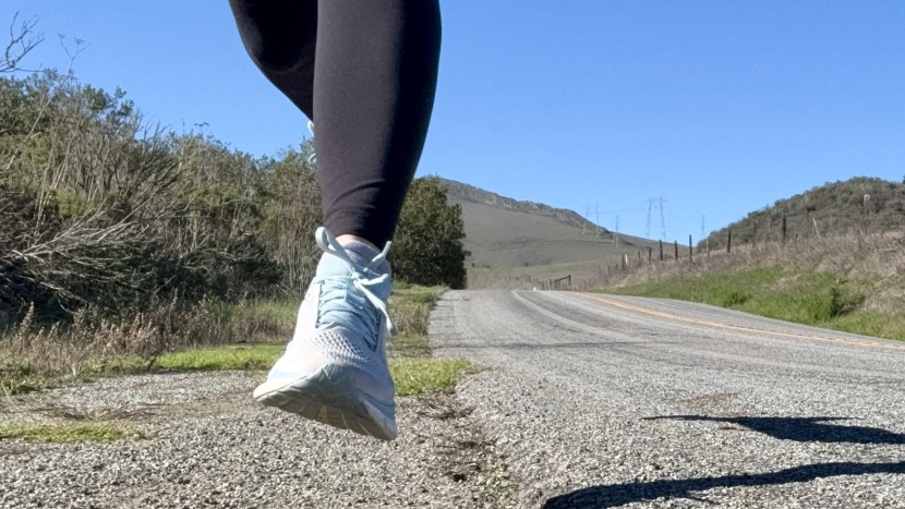 saucony ride 18 for women - built to be traditional with just enough flair, the saucony ride is...