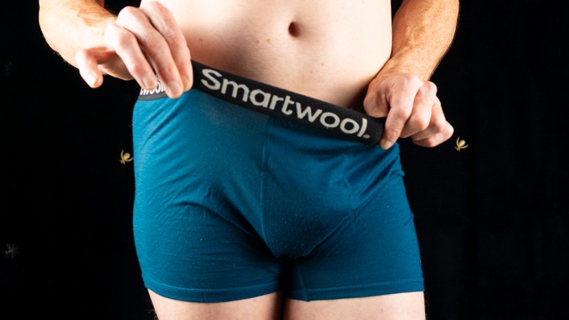 boxer briefs - wool/synthetic blends, like what&#039;s used in the smartwool active...