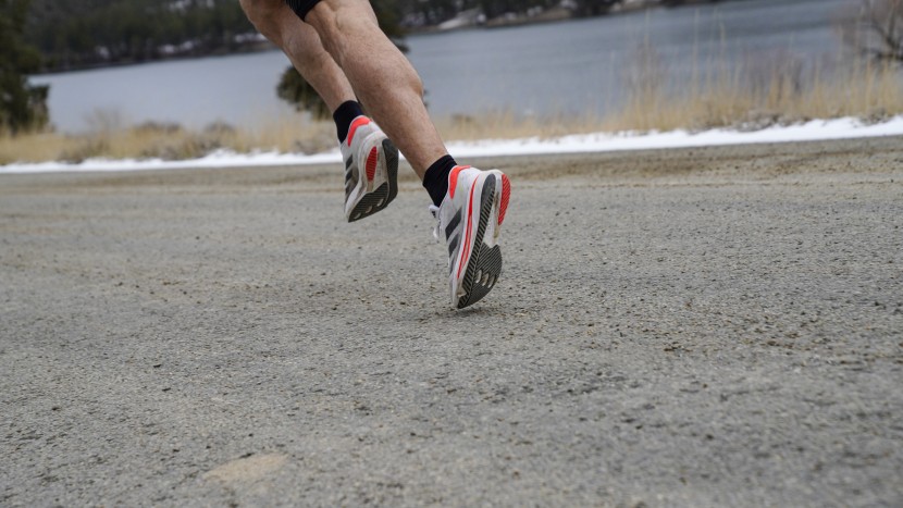 adidas adizero sl2 - the sl2 is simple. the lightweight upper is solidly breathable.