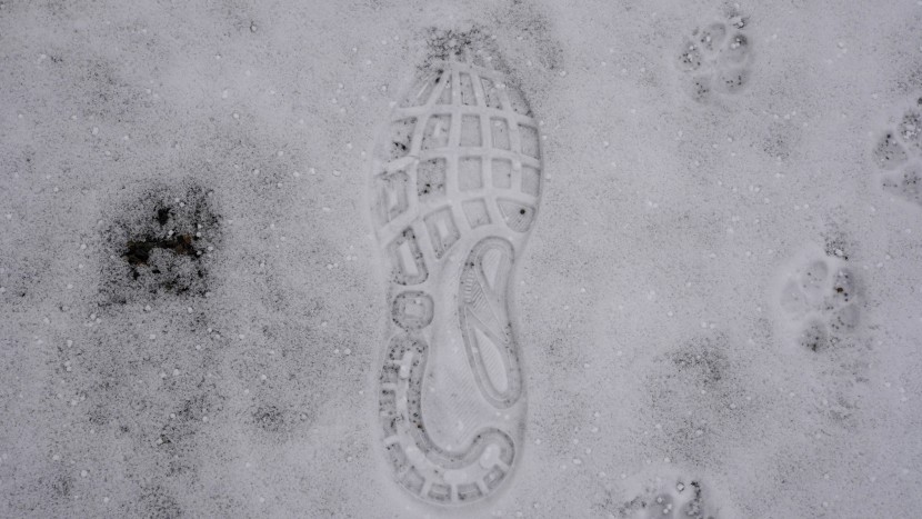 brooks adrenaline gts 24 - the outsole pattern of the adrenaline has no issues on looser...