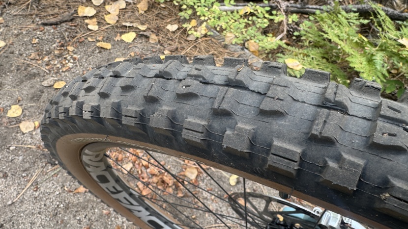 maxxis minion dhr ii - the dhr feels like the perfect mix of rugged and fast.