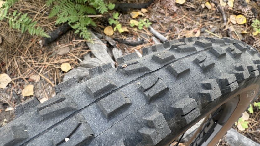 maxxis minion dhf 3c/exo - the angled knobs gracing the center of the dhf give it speed without...