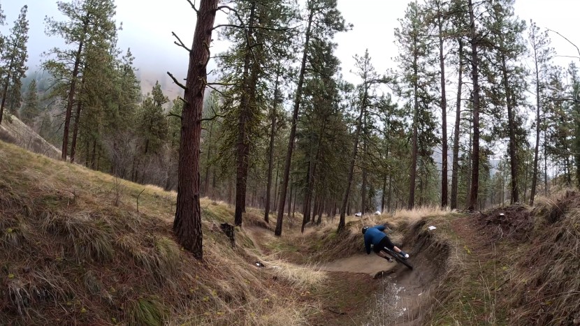 mountain bike flat shoes - the five ten freerider pro boa is slightly lighter than its laced...