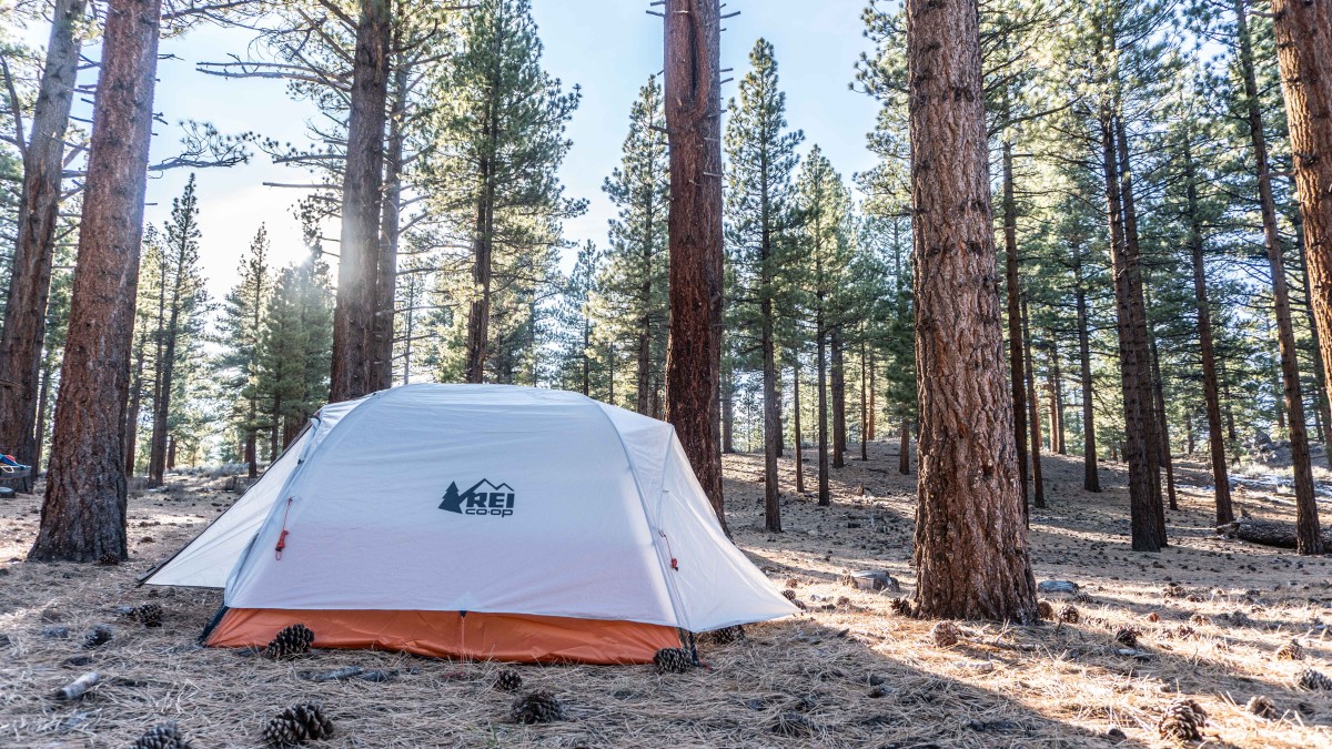 REI Co-op Half Dome 3 Review