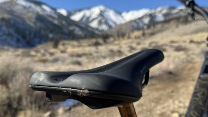 Product photo of WTB Volt Fusion Form Titanium