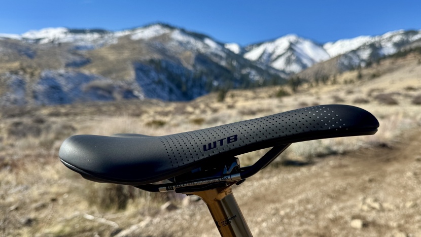 wtb volt fusion form titanium