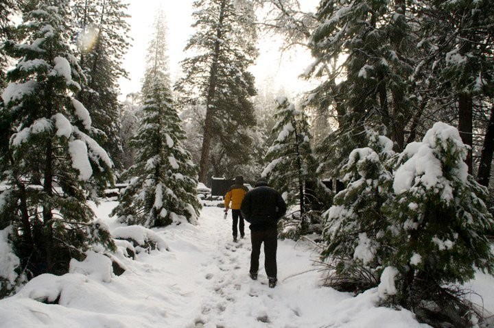 rei merino wool light hiker ii socks - the rei light hikers gracefully handling winter conditions in camp...