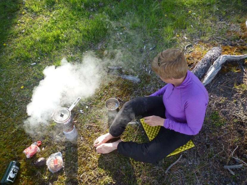 wendy pollock boiling with the msr reactor.