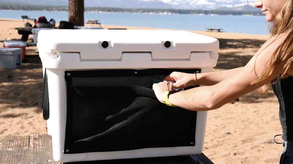 The 7 Best Coolers of 2024