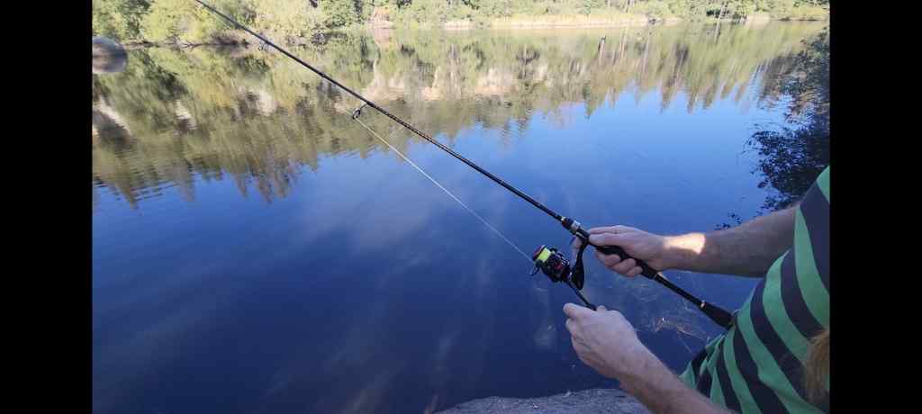 The 4 Best Fishing Reels of 2024