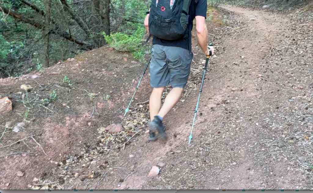 Hiking sticks big 5 best sale