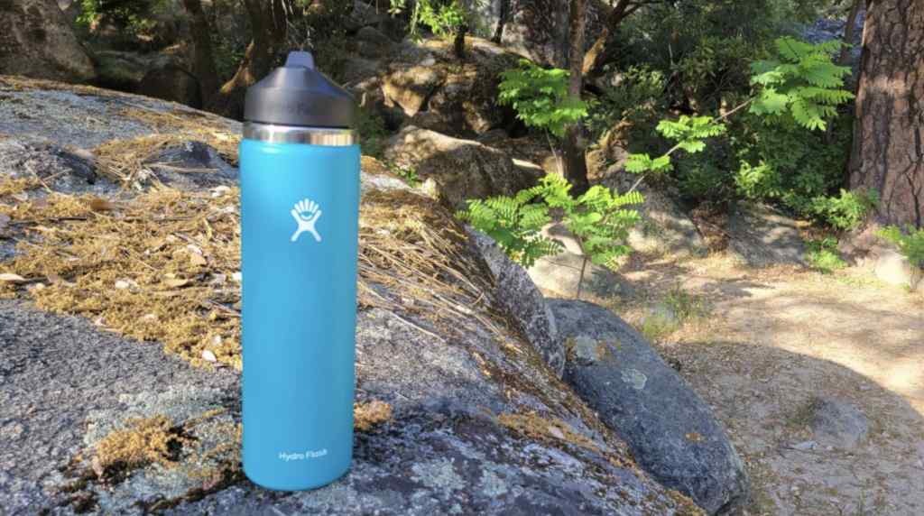 Owala FreeSip 32 oz. Insulated Stainless Steel Water Bottle - Forresty